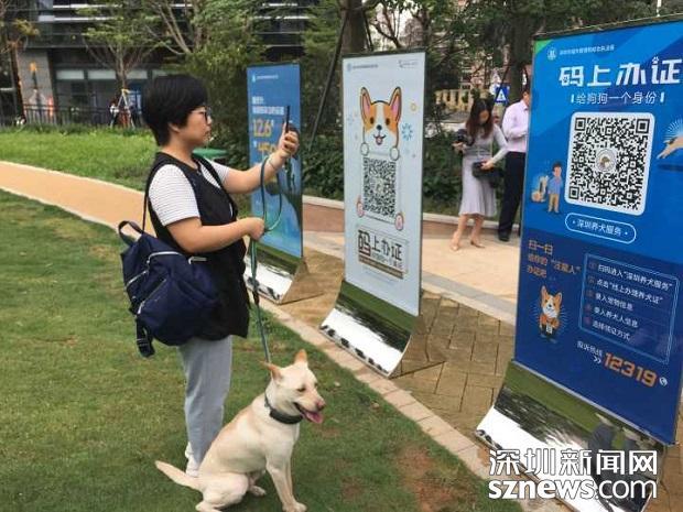 深圳市民扫码即可办犬证无证养犬将罚2000