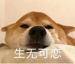 广州“最严养狗令”通过，可网上申请养狗证，知道是哪个软件吗？