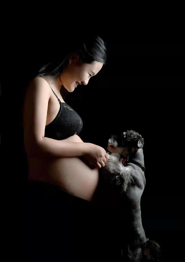 有了小狗狗也可以怀孕