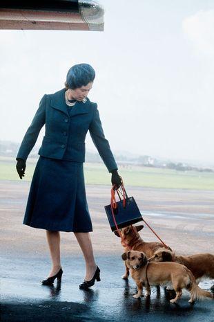 拥有30多只柯基犬的英女王，亲自“遛狗”几乎成了奢望