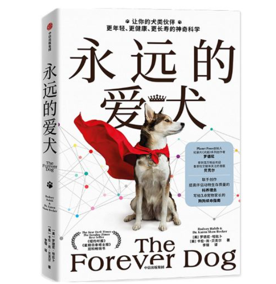 《永远的爱犬》：让它们活得更久，不再是一句空话