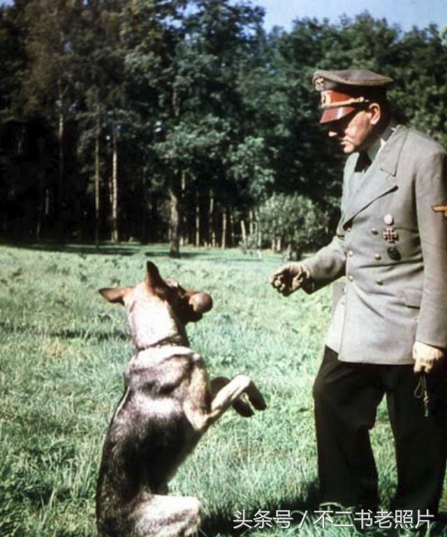 希特勒的宠物犬：在它眼中，世界没有恶魔，只有爱它的主人