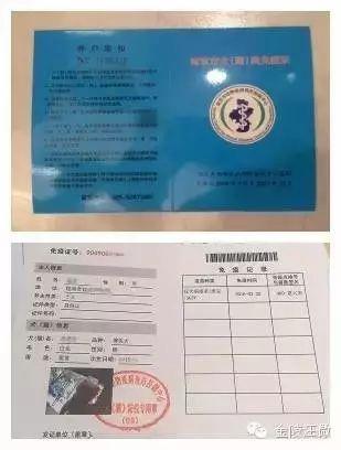 南京养犬登记证免费办理！相关事项都在这！