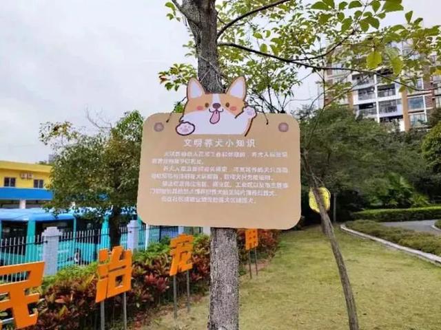 深圳最全宠物公园名单来啦！快带上“毛孩子”一起来打卡吧