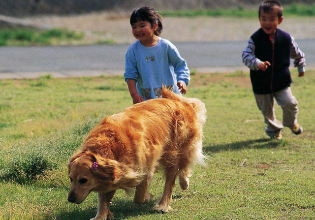 儿童心理学：“宠物”对孩子的影响到底有多大，你可能无法想到