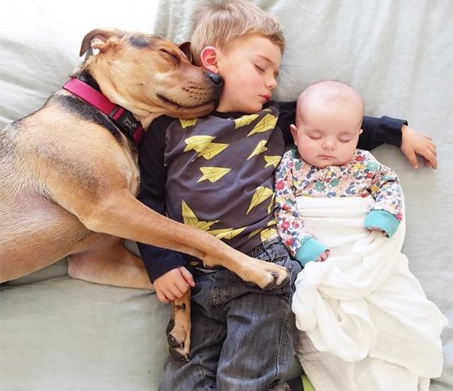 孩子看见别人家狗狗就特别高兴，是否可以养只狗陪他一起长大呢？