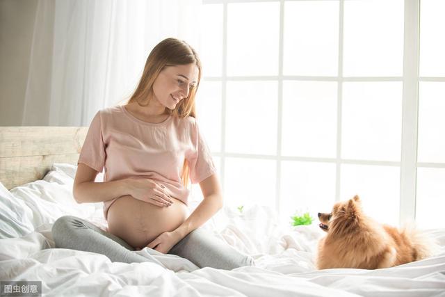 婆媳别再吵架啦，妇产科医生告诉你怀孕期间到底能不能养宠物
