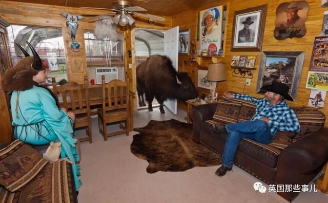 美国夫妇在室内养一吨多的野牛当宠物，差点没命也毫不介意么