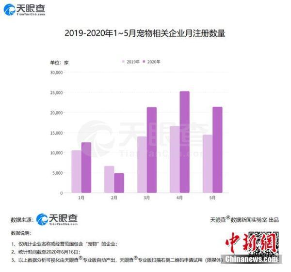 报告：中国养宠家庭达9978万户 5年内同比增长43.9%