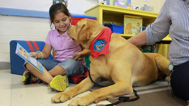 你会同意在学校养狗吗？如果学校引入治疗犬，会给孩子带来什么