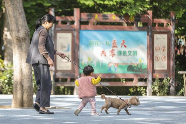 新版《动物防疫法》即将实施 郑州犬证办理量比平时高两倍 养狗需要做哪些看过来