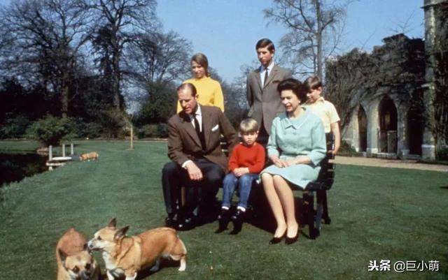 决定不再养狗的英国女王，因为爱得深沉！