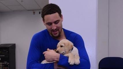 谁是NBA最爱狗的球星？汤神为爱犬抛弃库里，科比给狗过生日