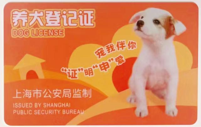 一文看懂：在上海，哪些狗不能养？养狗要注意什么？