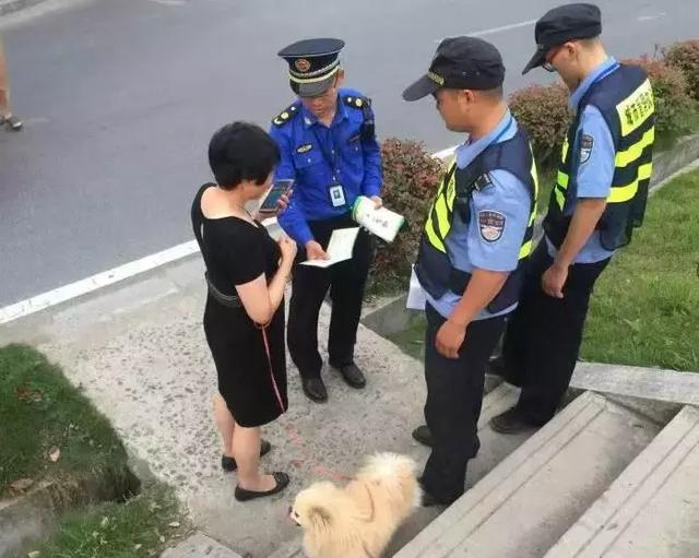 杭州禁养这34种犬类！不牵绳最高罚1000元！无证最高罚10000元！
