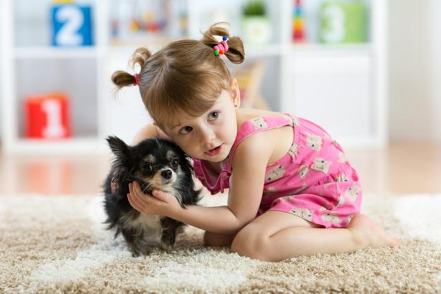 喜欢动物的孩子想养一只狗，家长应该怎么做，以下十点可以参考下