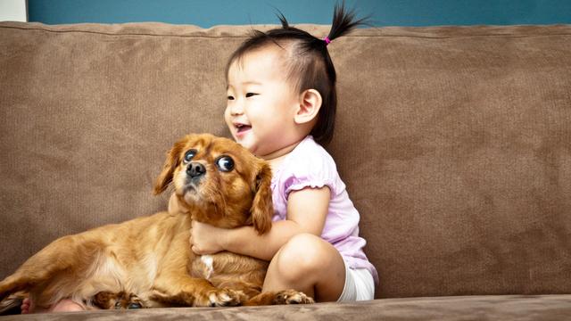 喜欢动物的孩子想养一只狗，家长应该怎么做，以下十点可以参考下