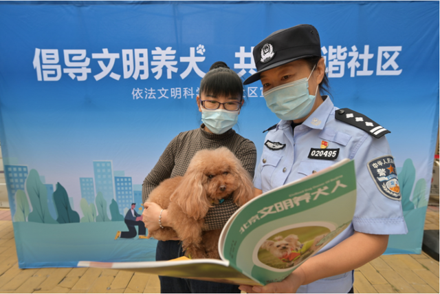 警探号｜北京警方今年以来办理违法养犬行为行政处罚案件8千余起