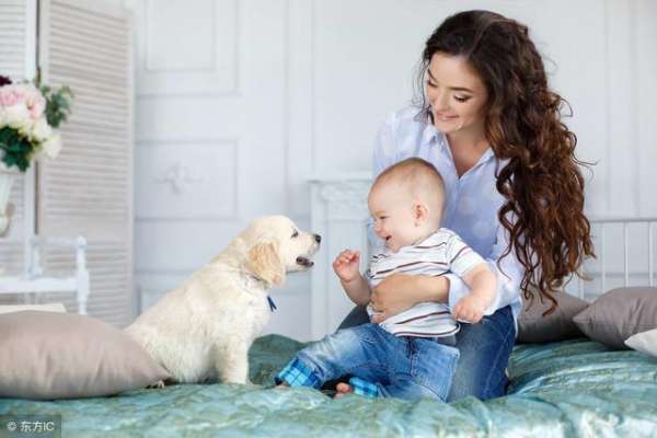 新生儿家里养狗的危害(有宝宝的家庭可以养宠物吗？宠物给宝宝健康会带来哪些隐患？)
