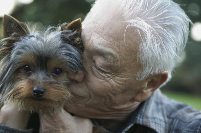 狗狗陪伴老人是否合适？老人养狗有好处也有坏处，长辈意向最重要