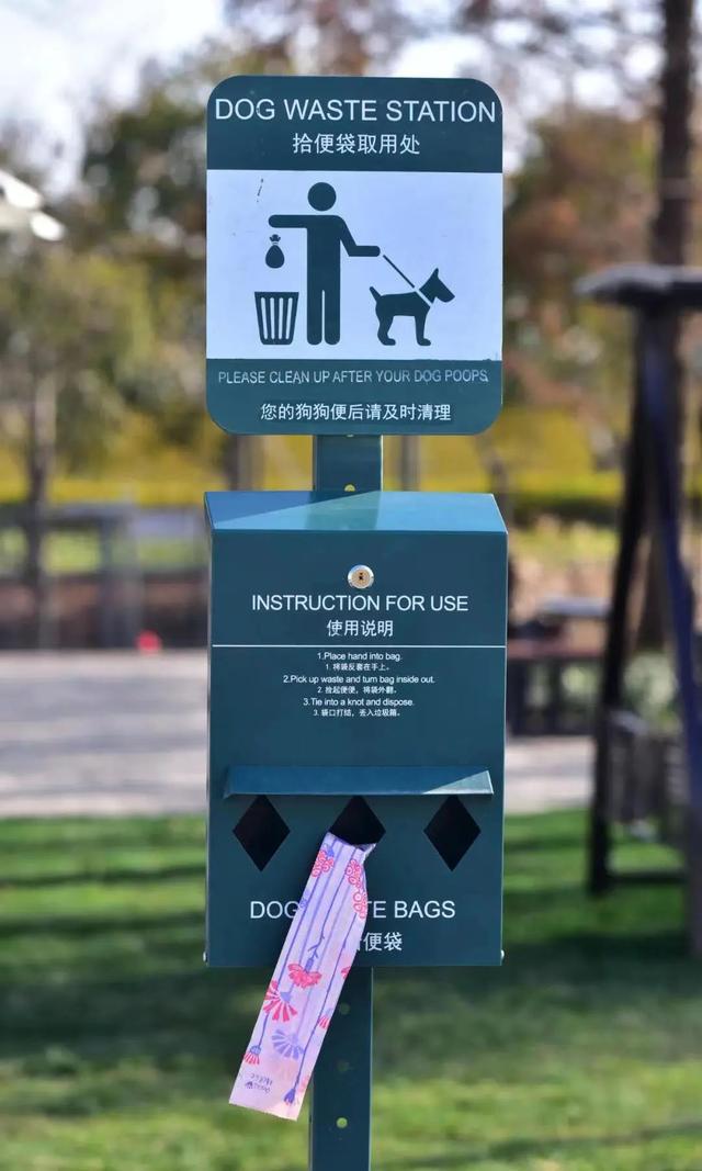 【探索】上海这些城市公园可以遛狗，你知道吗？