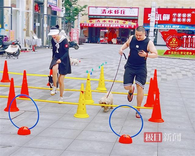 武汉一社区举办萌宠运动会，号召居民文明养宠物