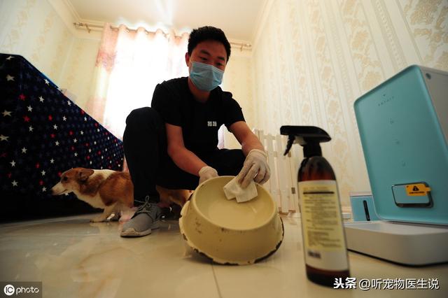 宠物感染这6种传染病以后，家里该如何彻底消毒呢？