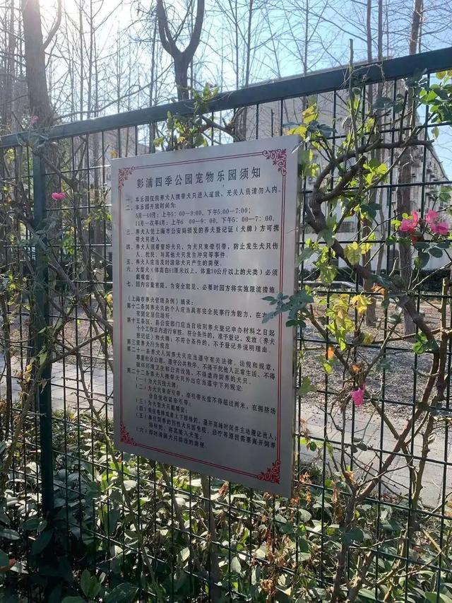 【探索】上海这些城市公园可以遛狗，你知道吗？